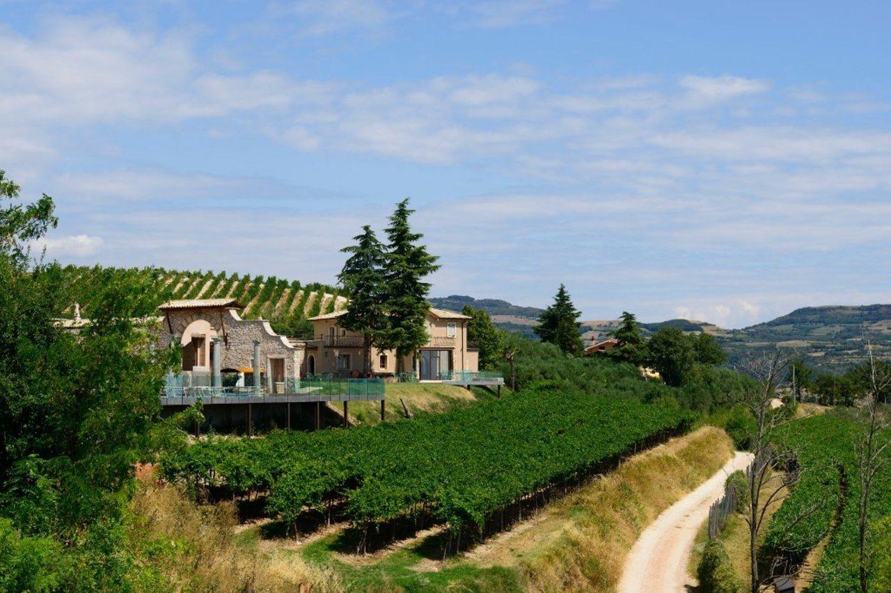 Farm stay Tenuta Le Cave